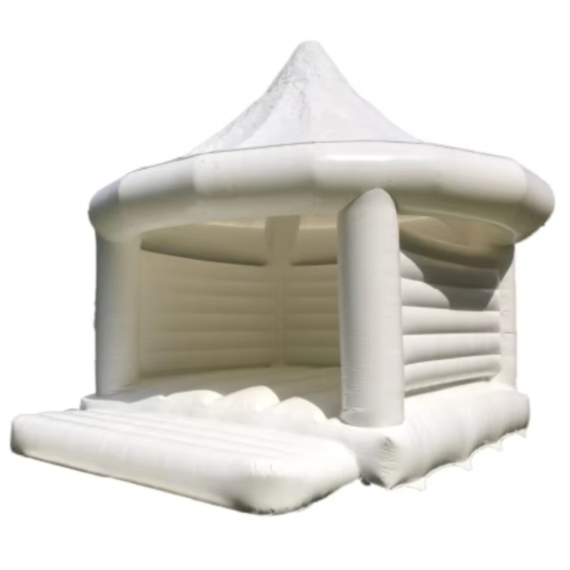 Aufblasbares Weißes Hochzeits- – Kids Outdoor Inflatable Bewertung und Preis