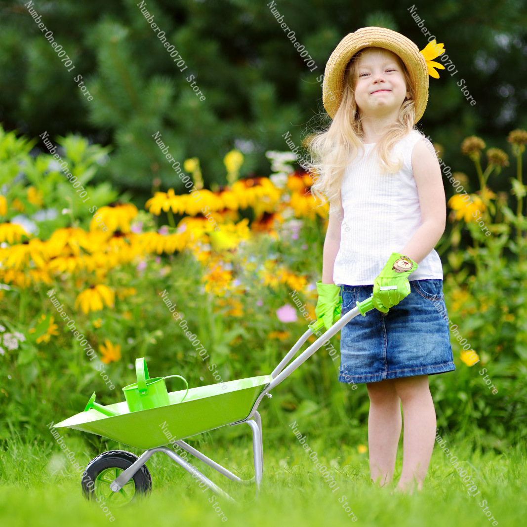 Kinder-Schubkarre für Draußen, – Play Kids Outdoor Bewertung und Preis