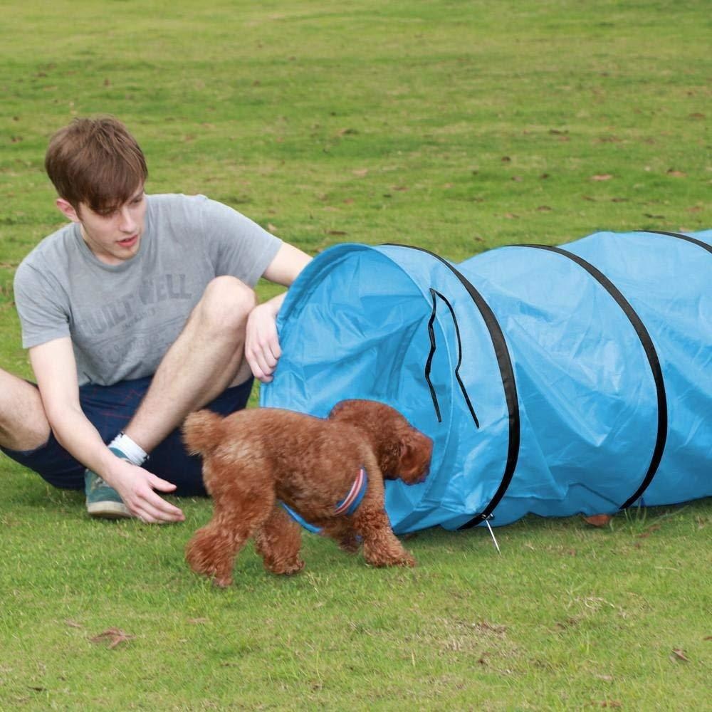 Kinder spielen Tunnel Haustier – Kids Outdoor Tunnel Bewertung und Preis
